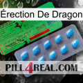 Érection De Dragon new03